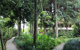 Ecolodge Bukit Lawang