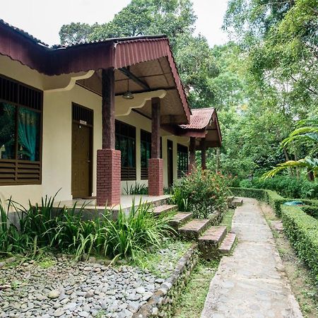 Ecolodge Bukit Lawang - Hotel&Jungletrek Exterior photo