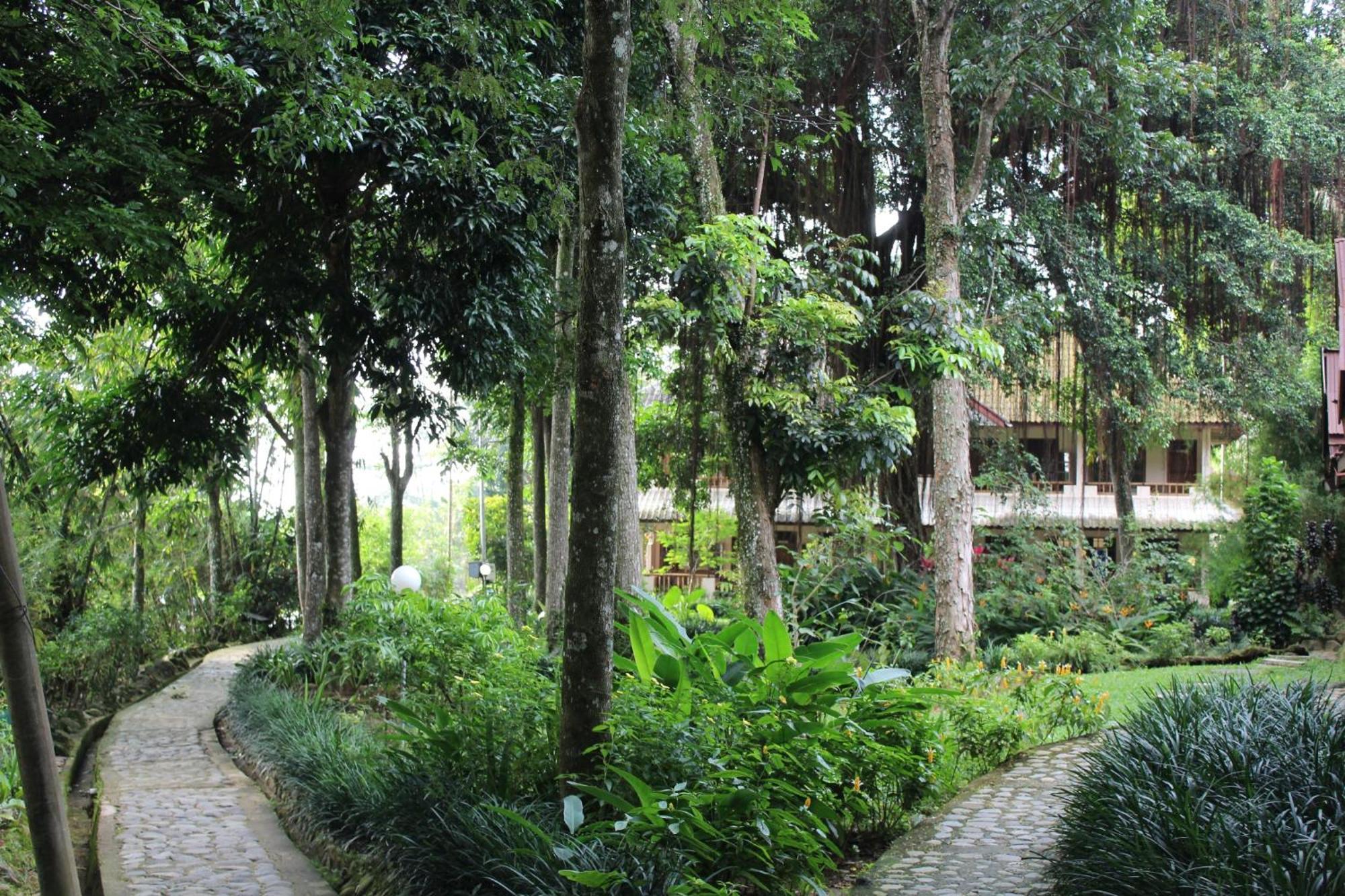 Ecolodge Bukit Lawang - Hotel&Jungletrek Room photo