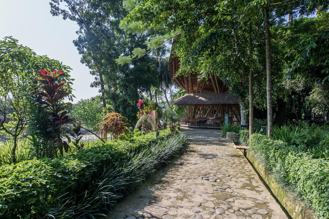 Ecolodge Bukit Lawang - Hotel&Jungletrek Exterior photo