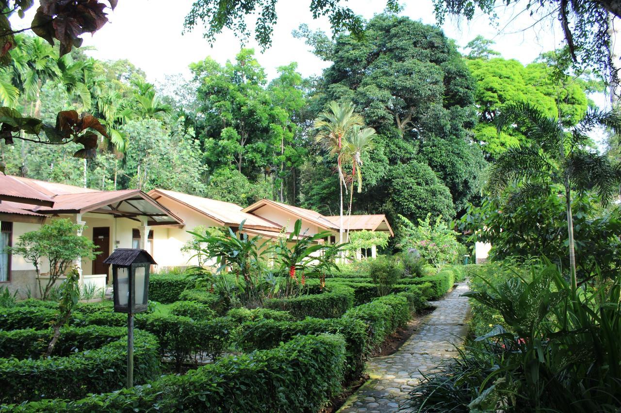 Ecolodge Bukit Lawang - Hotel&Jungletrek Exterior photo