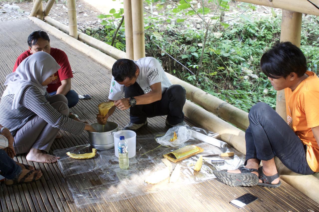 Ecolodge Bukit Lawang - Hotel&Jungletrek Exterior photo